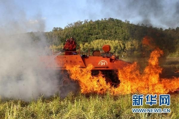 【動畫】森林草原防火“十不準”“五不燒”！這些安全知識要牢記